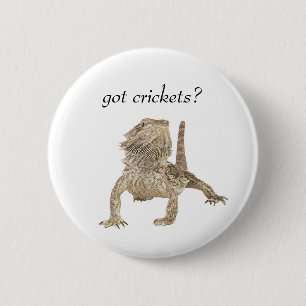 Got crickets 2 inch round button
