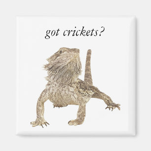 Got crickets magnet