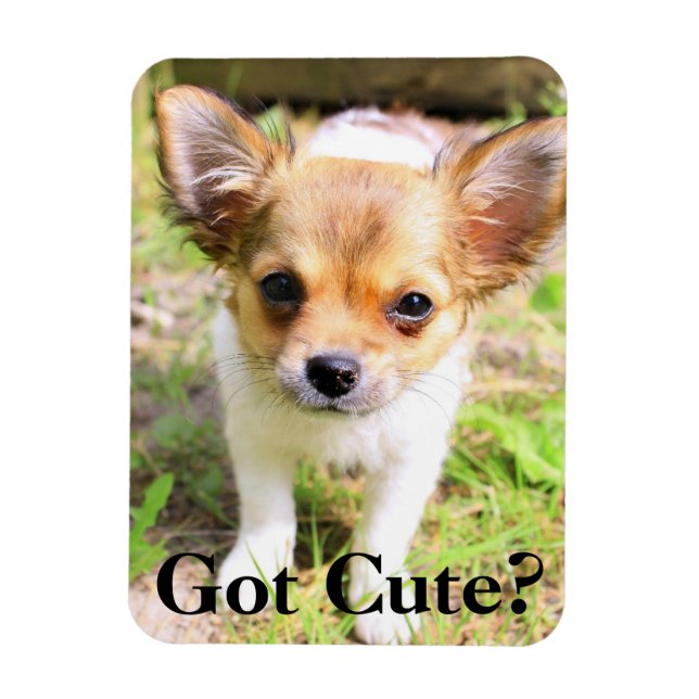 Got Cute? Puppy Magnet (Vertical)