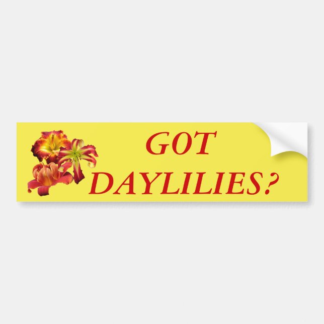 Got Daylilies? Bumper Sticker (Front)