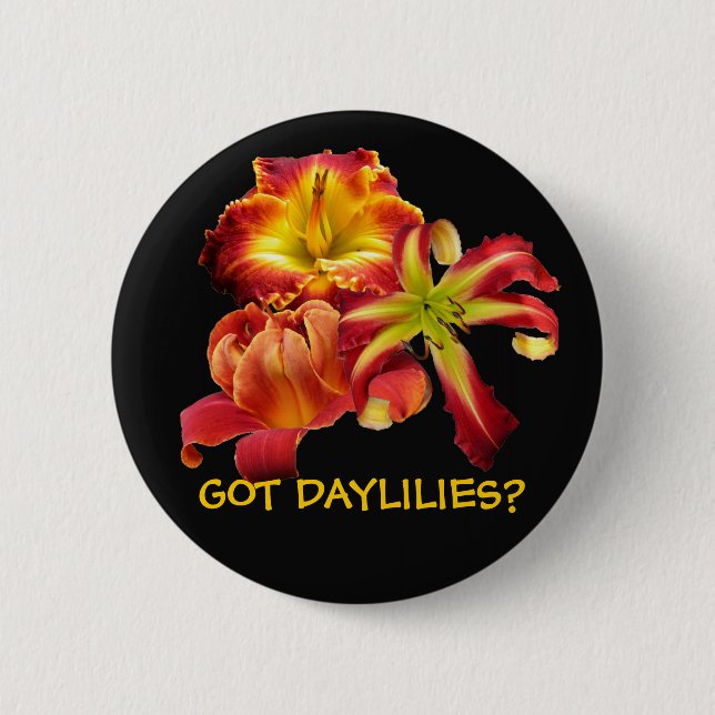 GOT DAYLILIES? BUTTON (Front)