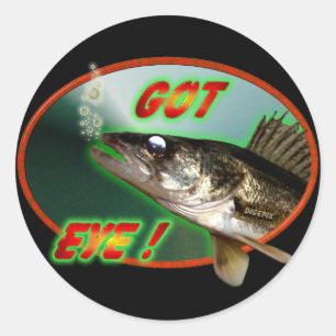 Got Eye! Classic Round Sticker