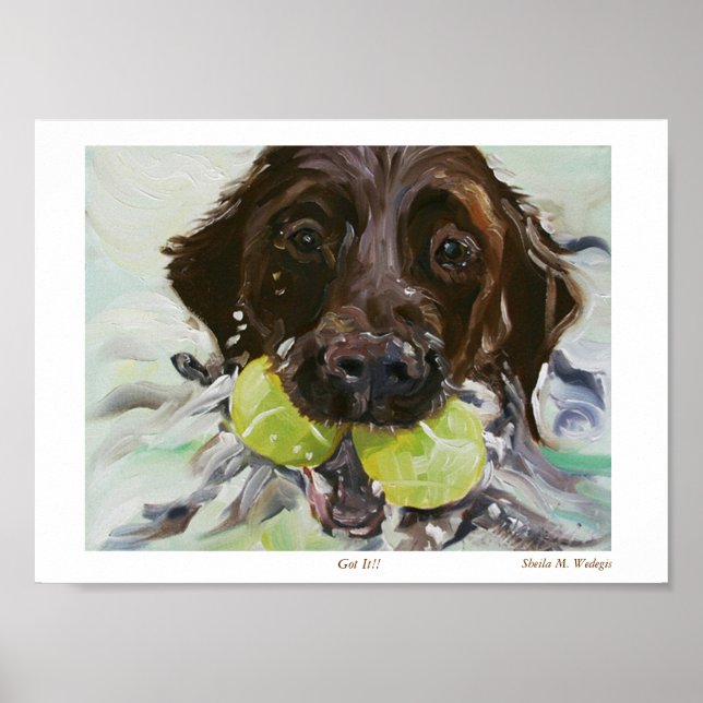 Got It!! Poster (Front)