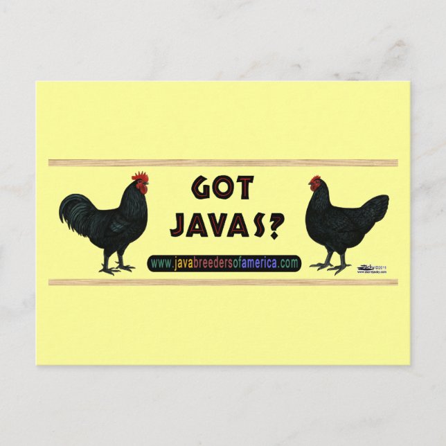 Got Javas? Postcard (Front)