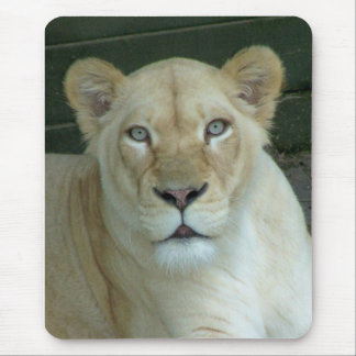 Got Mouse? Mouse Pad