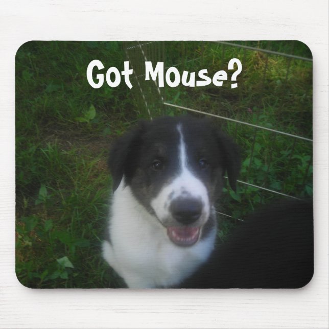 Got Mouse? Mouse Pad (Front)