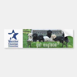 Got Oxytocin?  Bumper Sticker
