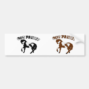 GOT PAINT? PAINT HORSES! BUMPER STICKER