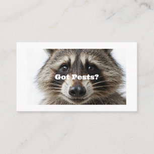 "Got Pests?" Pest Control Business Card