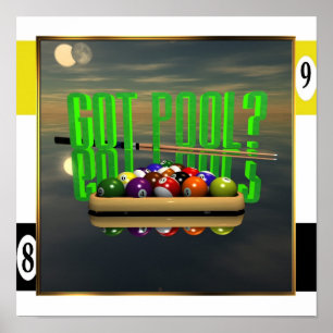 Got Pool Poster