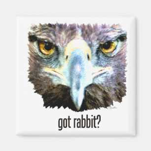 Got Rabbitr? Magnet