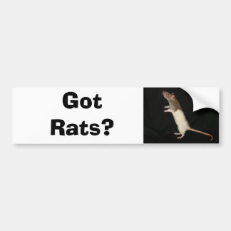Got Rats?, Got Rats? Bumper Sticker