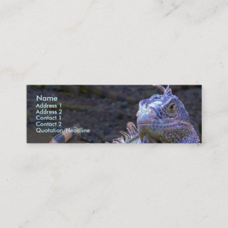 Got Scales? Mini Business Card
