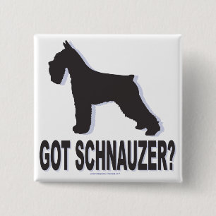 Got Schnauzer? 2 Inch Square Button