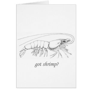 "got shrimp" logo