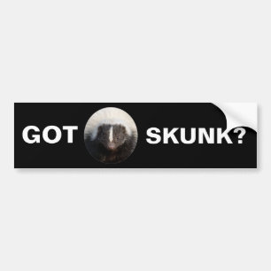 Got Skunk? Bumper Sticker