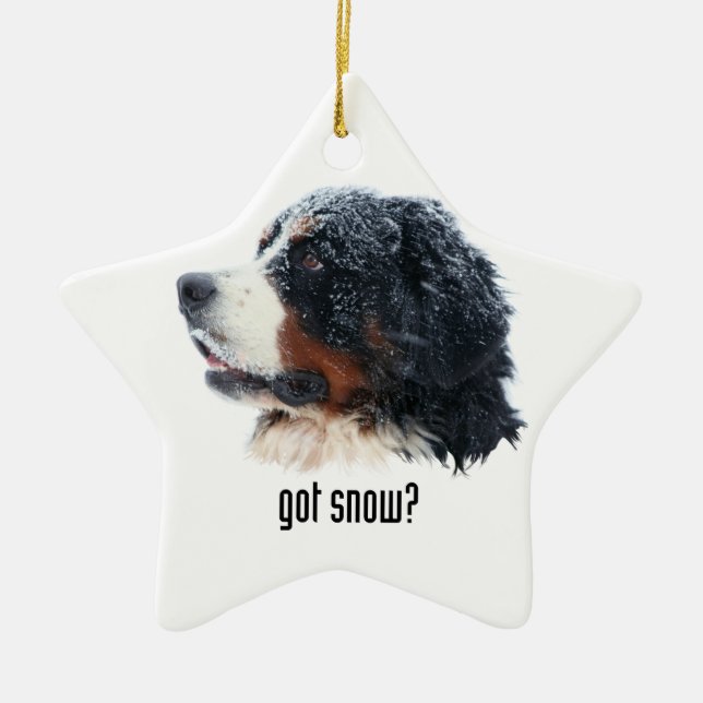 got snow? Bernese Mountain Dog Ceramic Ornament (Front)