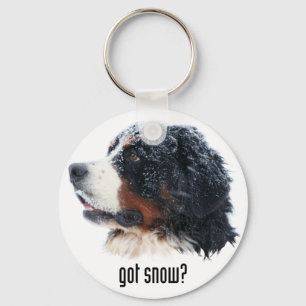 got snow? Bernese Mountain Dog Keychain