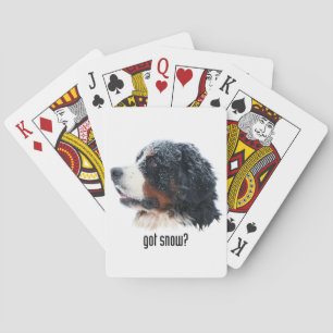 got snow? Bernese Mountain Dog Playing Cards