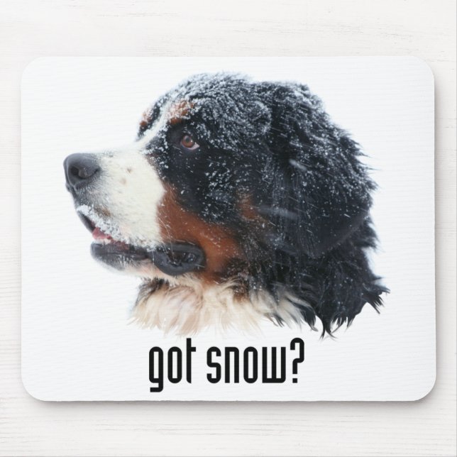 got snow? mousepad (Front)