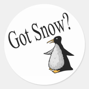 Got Snow? (Penguin) Classic Round Sticker