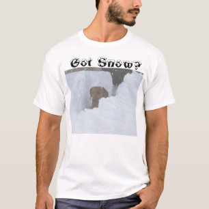 Got Snow? T-Shirt