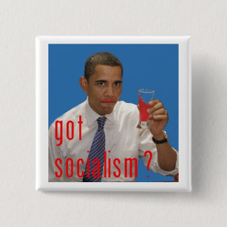 got socialism? 2 inch square button