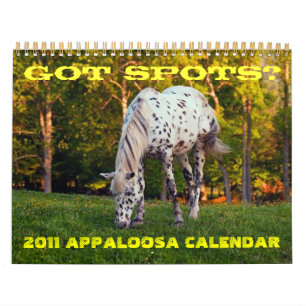 GOT SPOTS? 2011 APPALOOSA CALENDAR