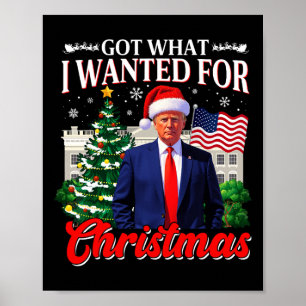 Got What I Wanted For Christmas Donald Trump 47th  Poster