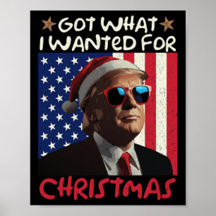 Got What I Wanted For Christmas Trump 1 Poster