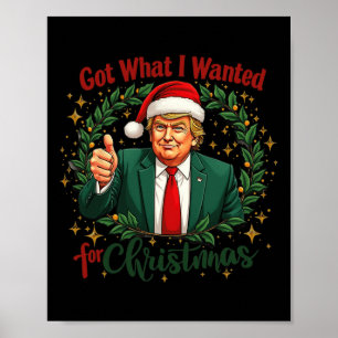 Got What I Wanted For Christmas Trump 2024 5  Poster