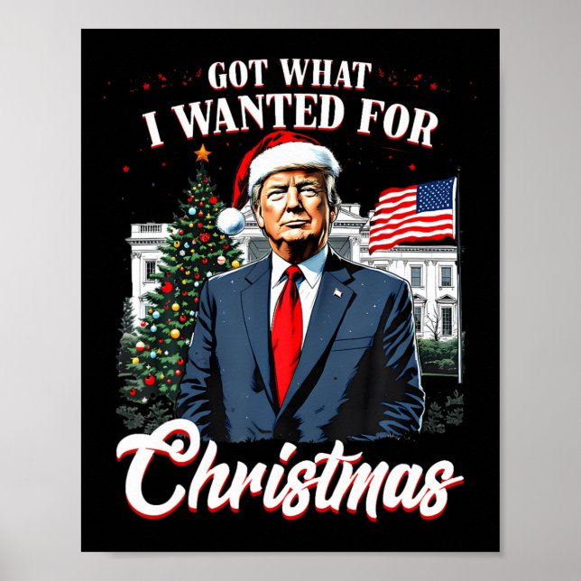 Got What I Wanted For Christmas Trump 2024  Poster (Front)