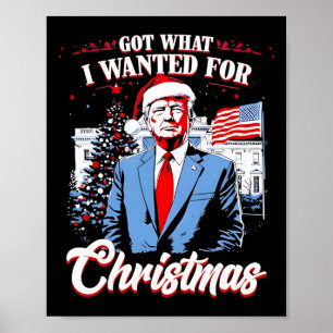 Got What I Wanted For Christmas Trump 2025 Poster