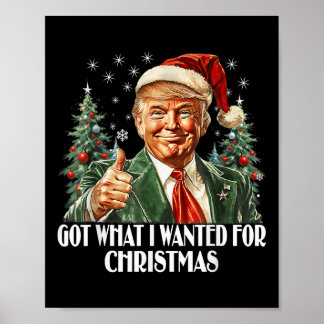 Got What I Wanted For Christmas - Trump Xmas Poster