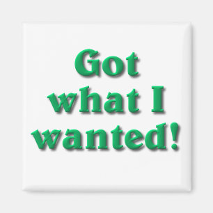 Got What I Wanted Magnet