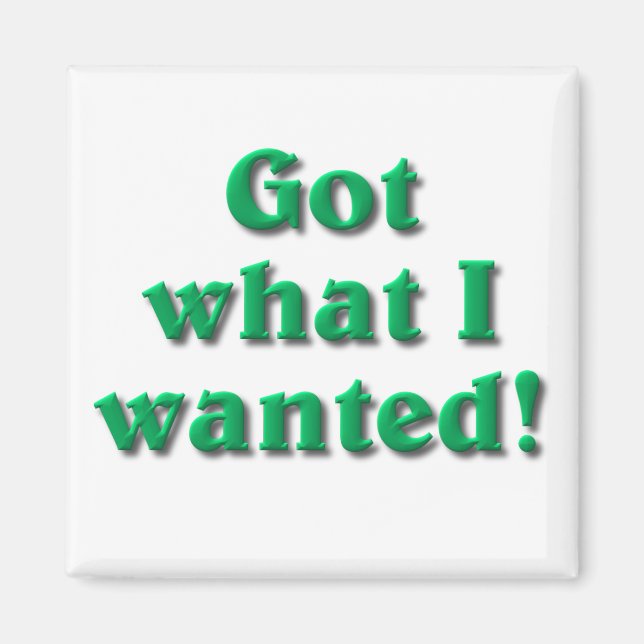 Got What I Wanted Magnet (Front)