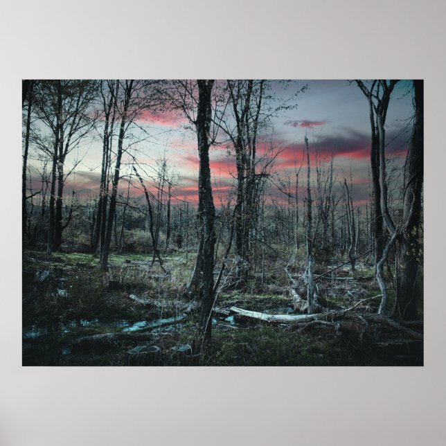 Gothic Art Gloomy Swampland Forest Poster (Front)