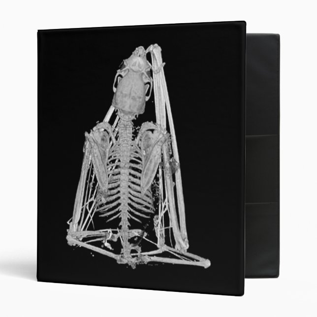 Gothic Bat Skeleton Binder (Front/Inside)