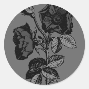 Gothic Black Antique Rose Classic Round Sticker
