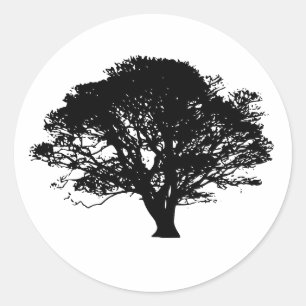 Gothic Black Oak Tree Silhouette Fine Art Drawing Classic Round Sticker