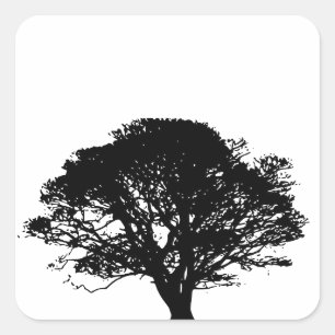 Gothic Black Oak Tree Silhouette Fine Art Drawing Square Sticker