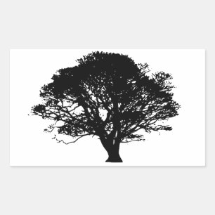 Gothic Black Oak Tree Silhouette Fine Art Drawing Sticker