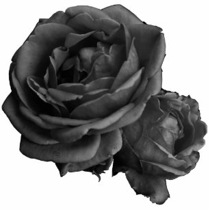 Gothic Black Roses Standing Photo Sculpture