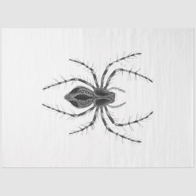 Gothic Enchantment Series Design 4 Tissue Paper (Front)