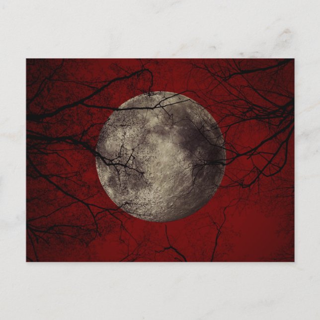 Gothic Full Moon with Haunting Trees Postcard (Front)