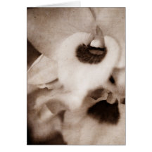 Gothic orchid - Card