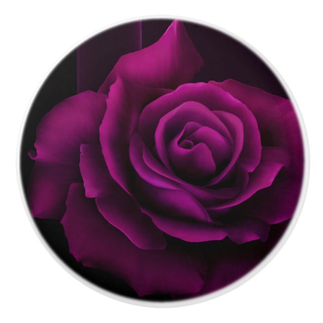 Gothic Purple Photo of a Rose Ceramic Knob (Front)