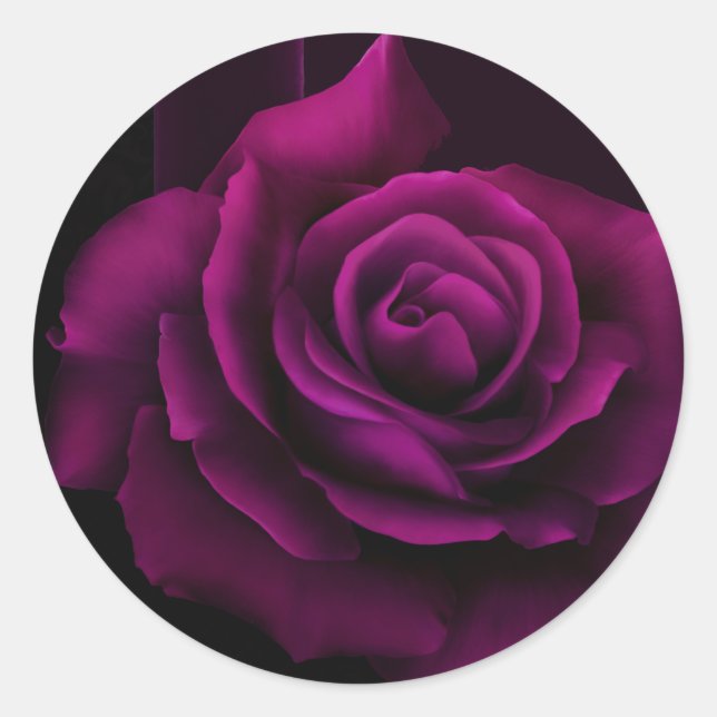Gothic Purple-Red Rose Flower Classic Round Sticker (Front)