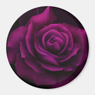 Gothic Purple-Red Rose Flower Magnet