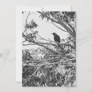 Gothic Raven Invitation